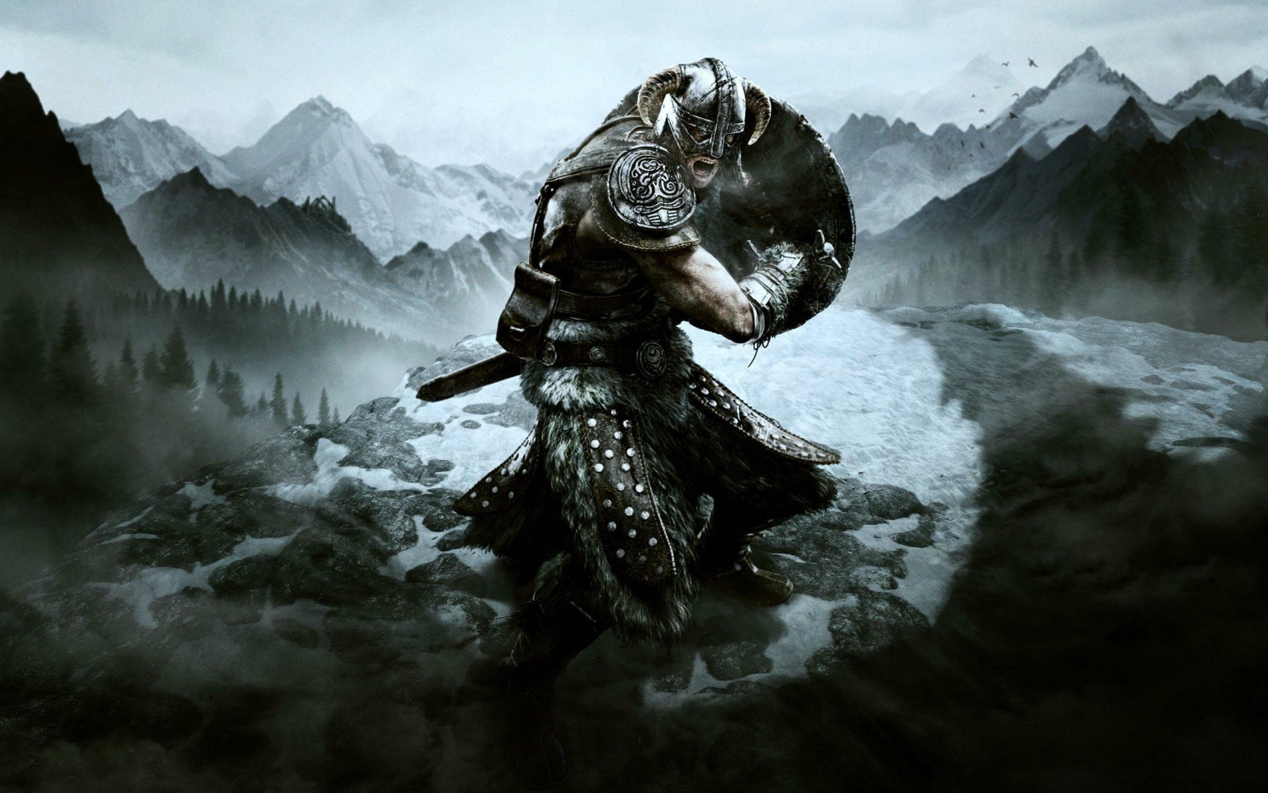 The Elder Scrolls V: Skyrim Special Edition artwork