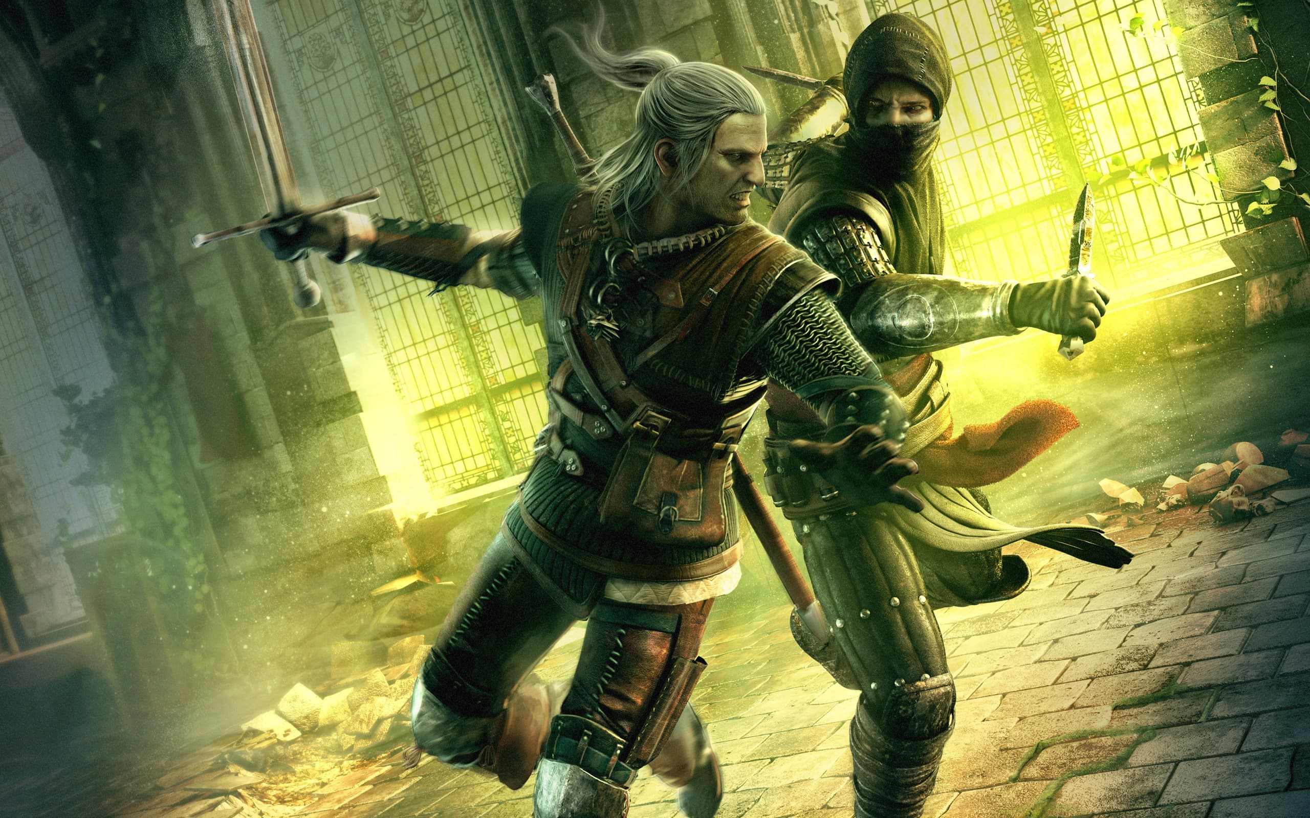 The Witcher 2: Assassins of Kings Enhanced Edition artwork