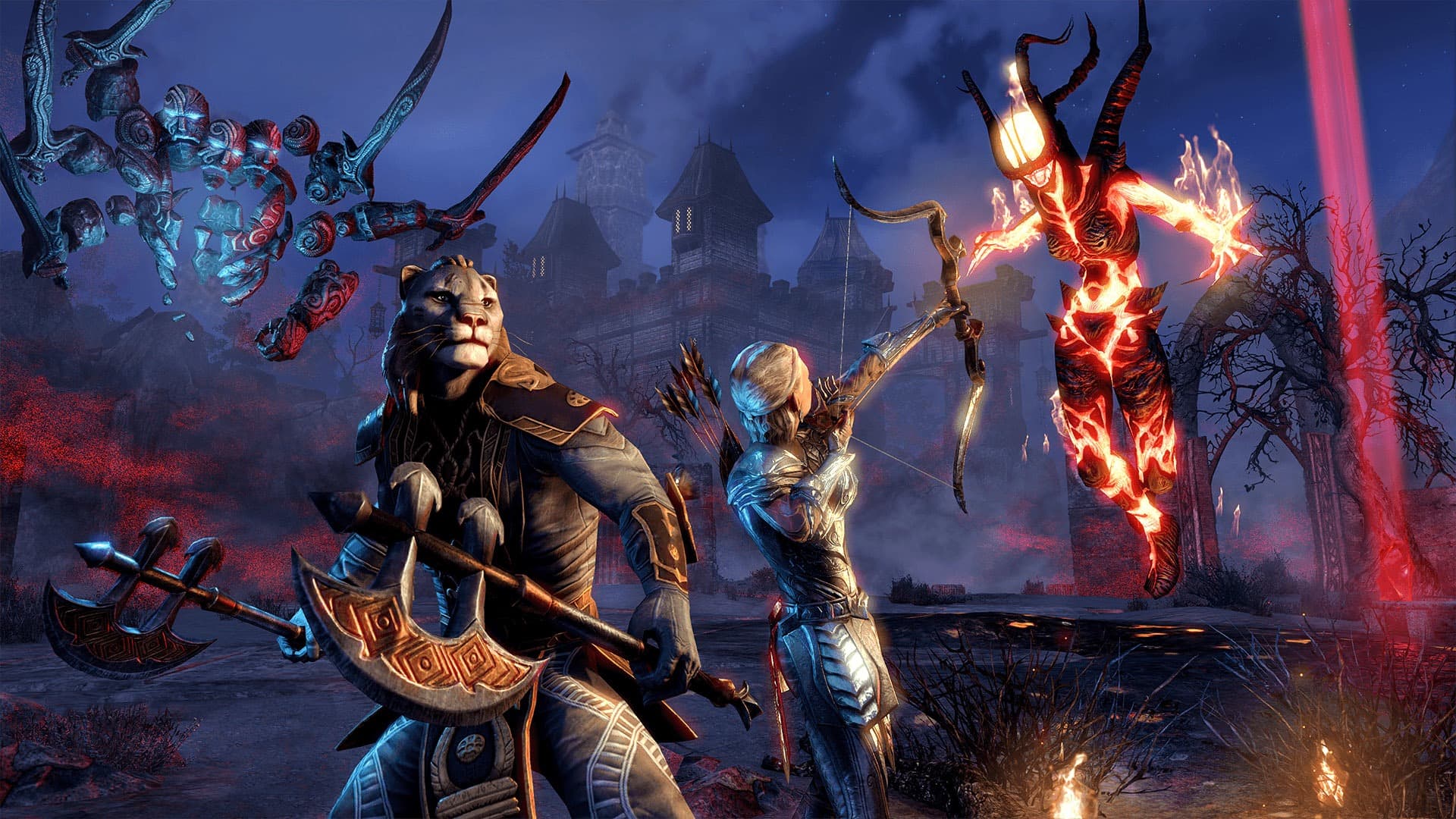 The Elder Scrolls Online: Newcomer Pack artwork