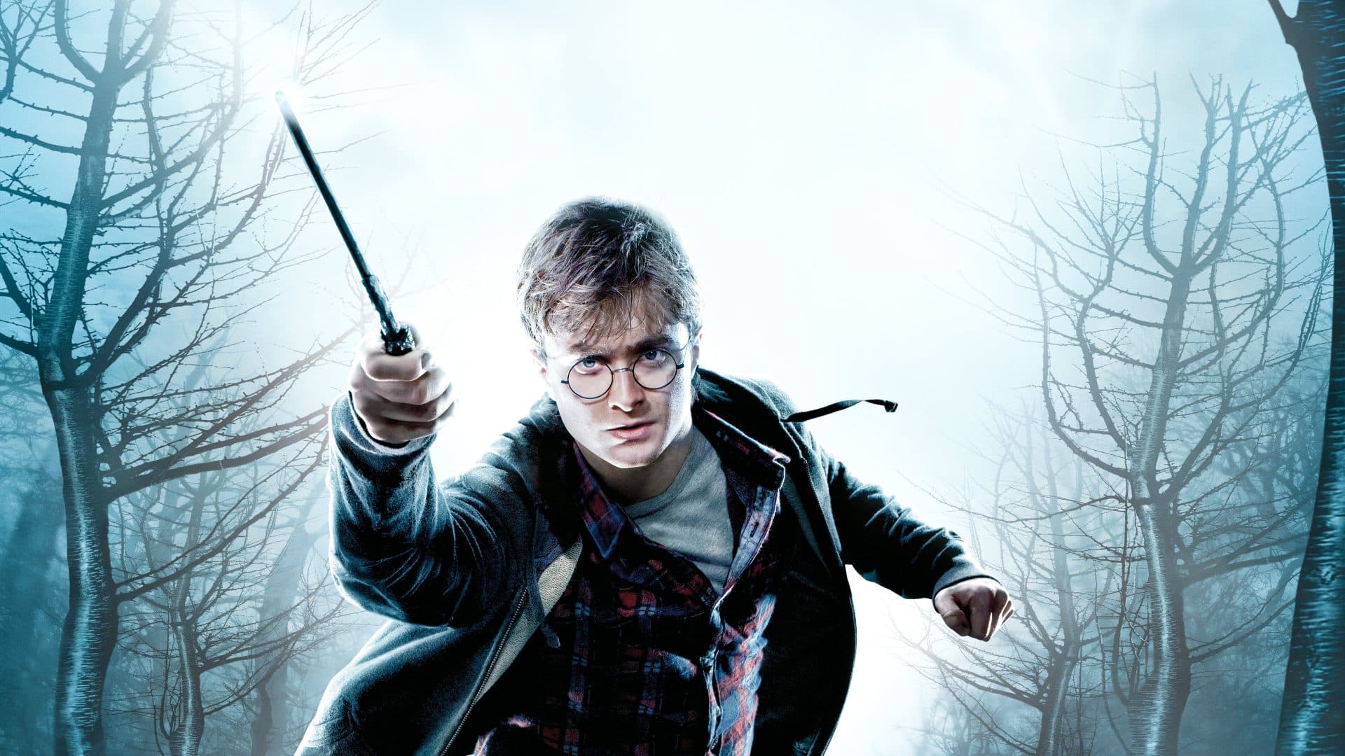 Harry Potter and the Deathly Hallows: Part 1 artwork