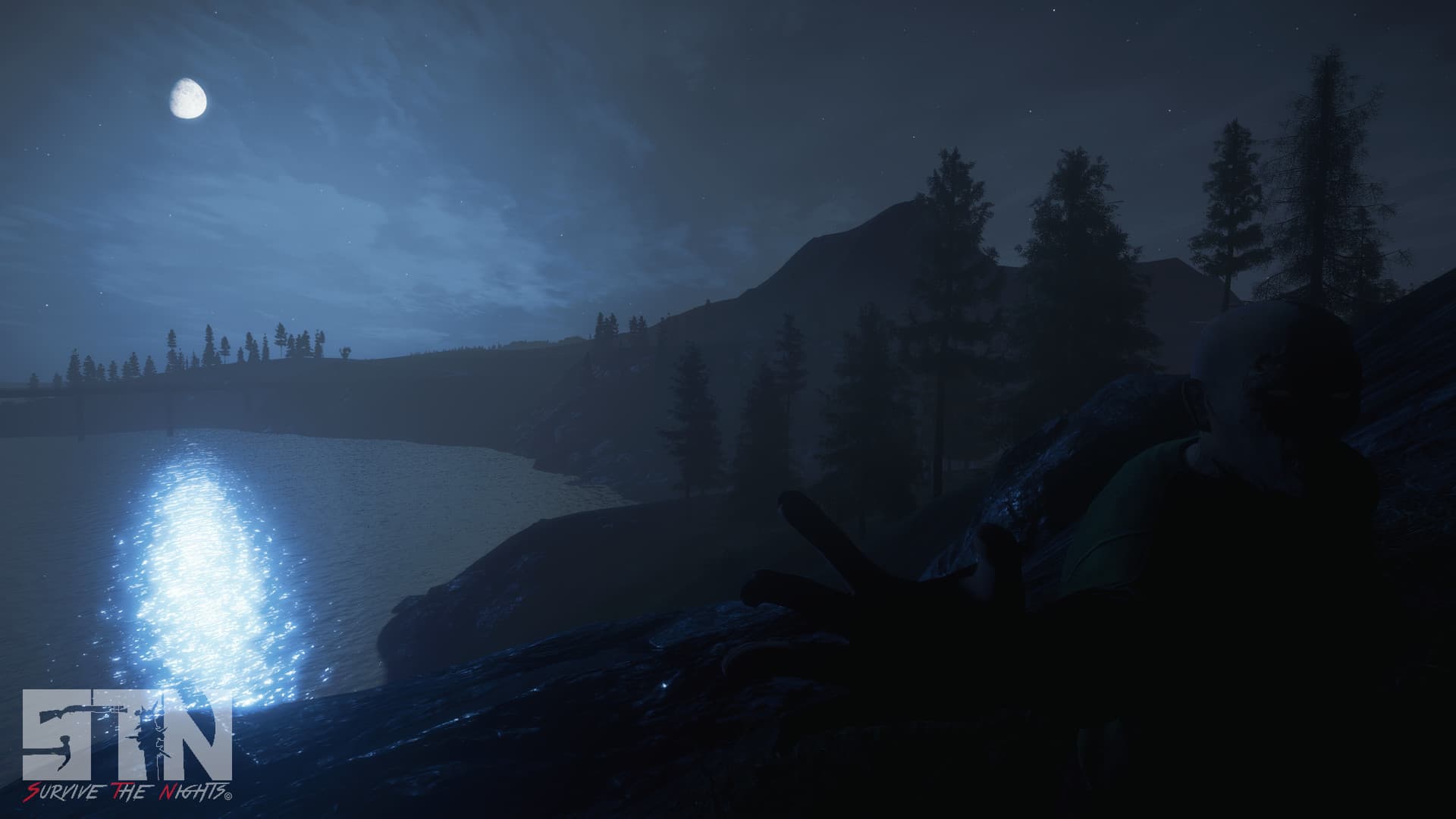 Survive the Nights artwork