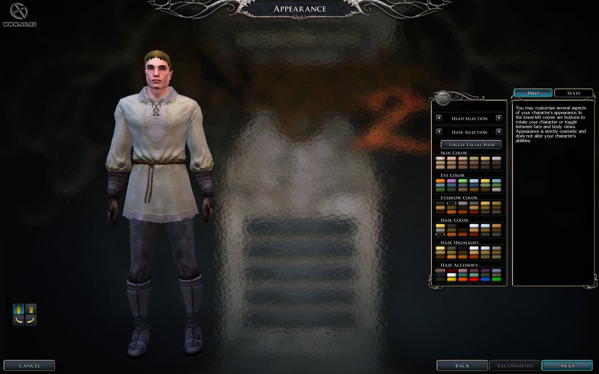 Neverwinter Nights 2 artwork