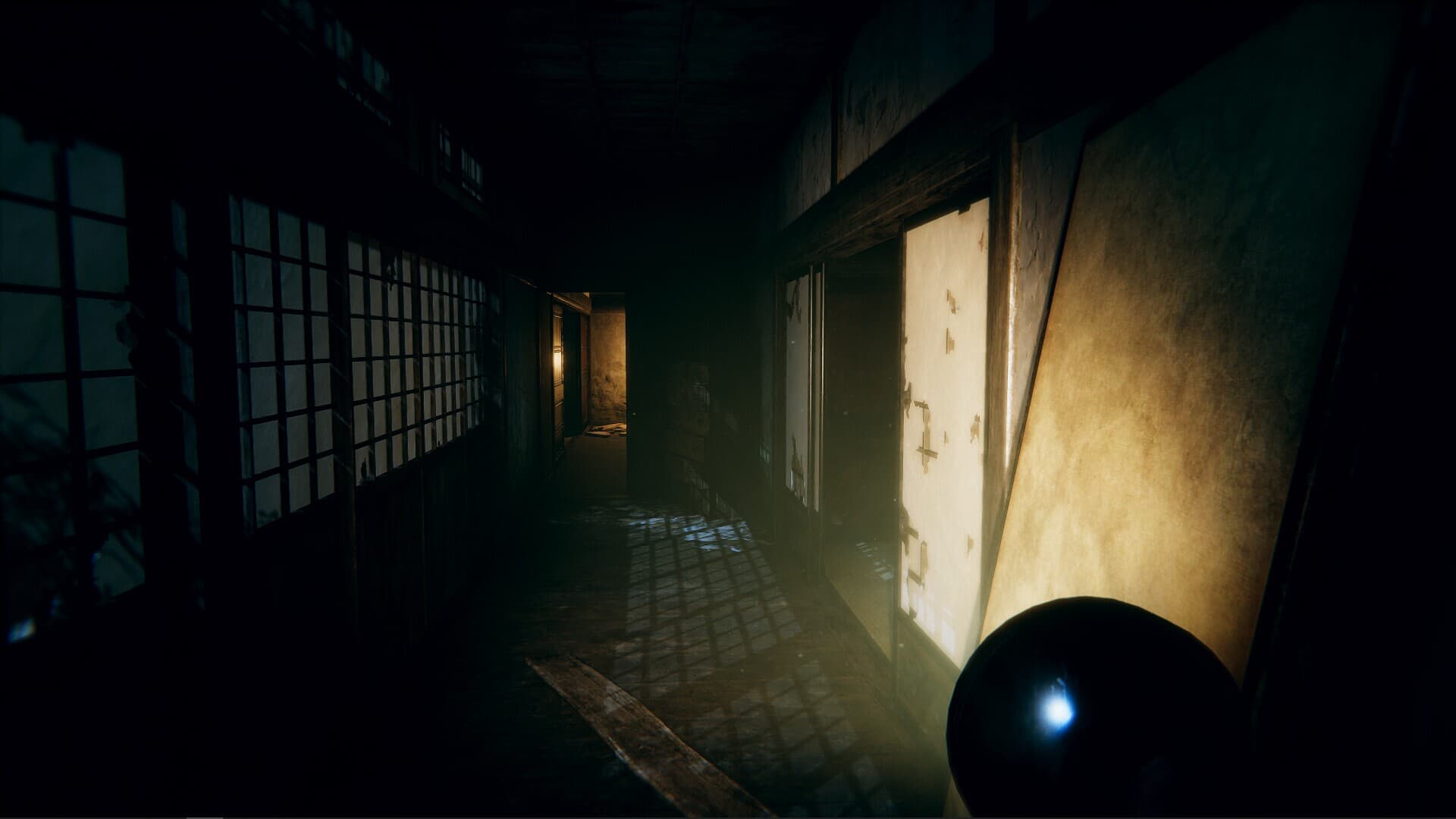 Hollow Cocoon artwork