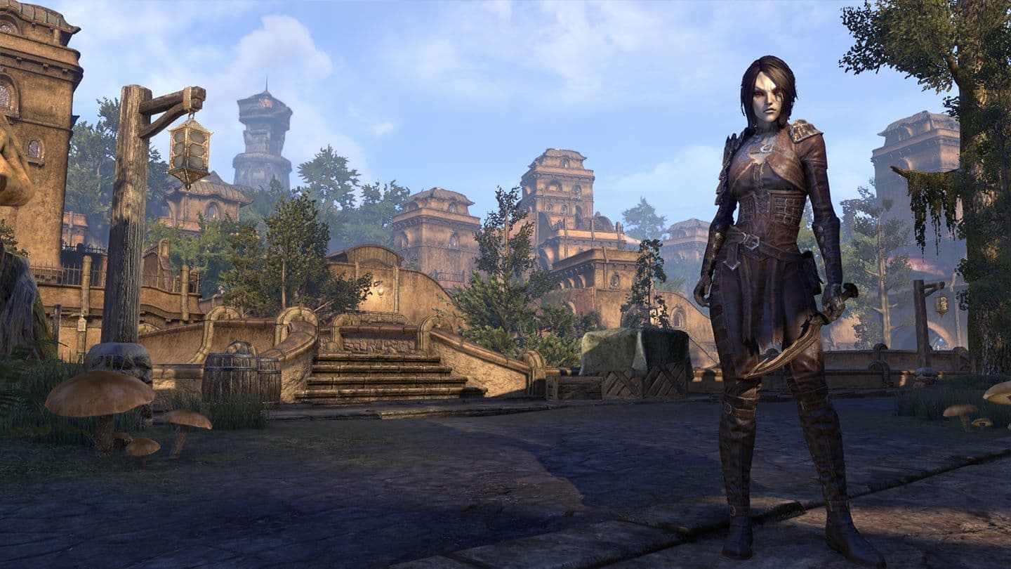 The Elder Scrolls Online: Collection artwork